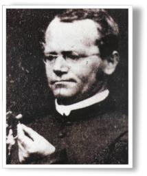 Mendel publications